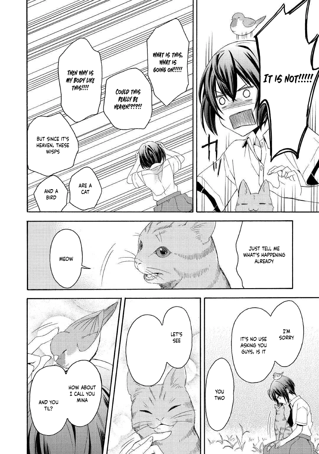 Child in Another World: Adopted & Scribe Chapter 1 - . Page 8
