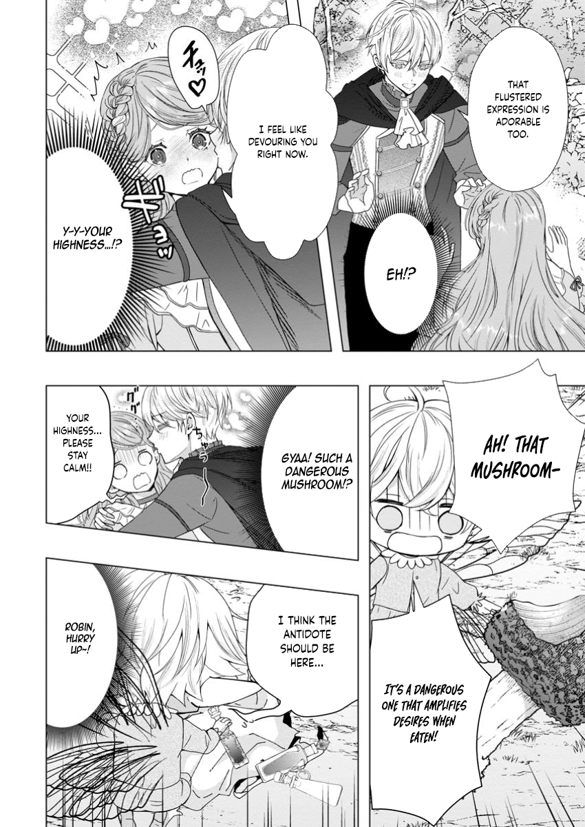 Cinderella’s Sister Became the Prince’s Bride, Living a Slow Life as the Stand-In Princess Chapter 17 Page 2