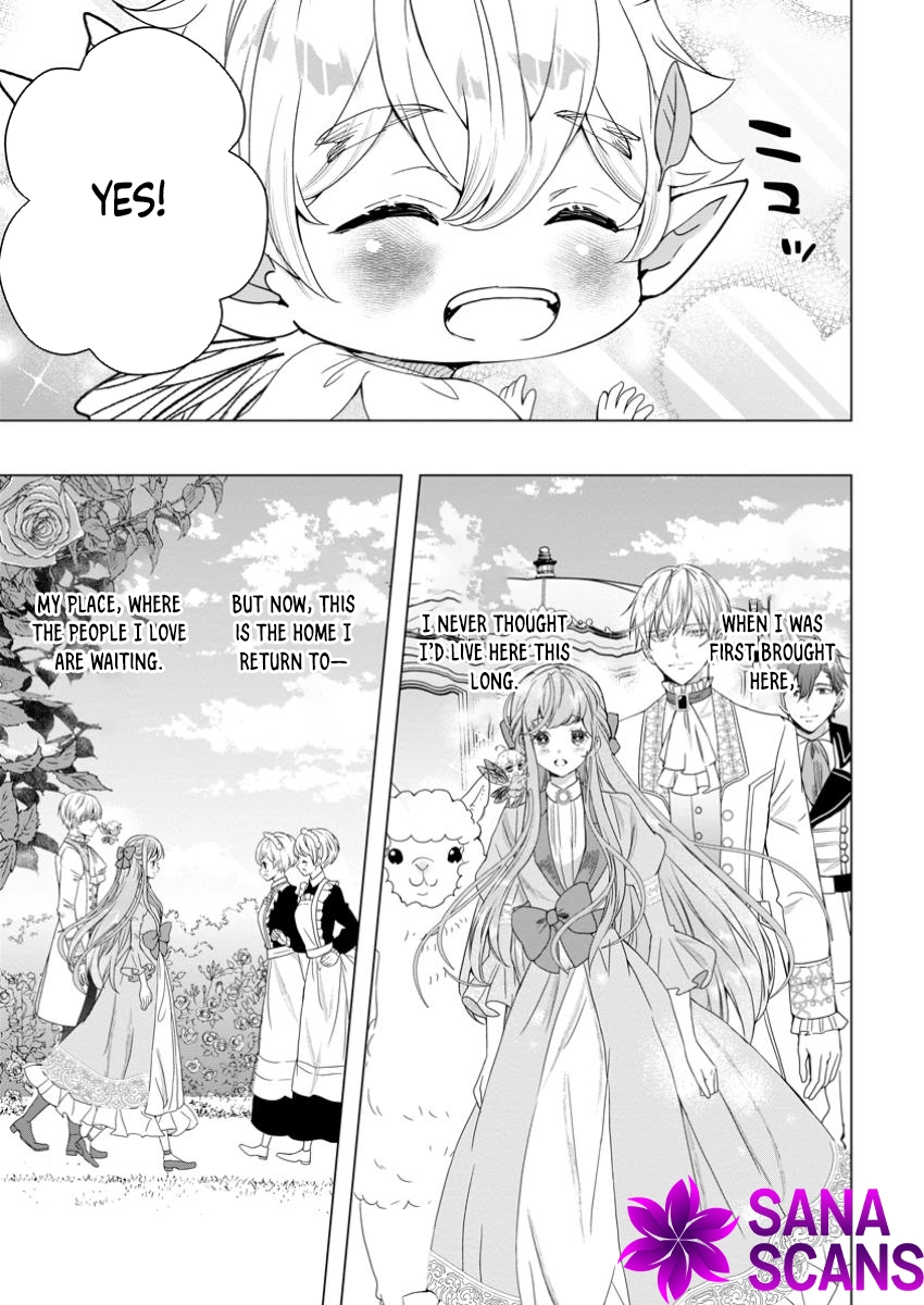 Cinderella’s Sister Became the Prince’s Bride, Living a Slow Life as the Stand-In Princess Chapter 17 Page 7