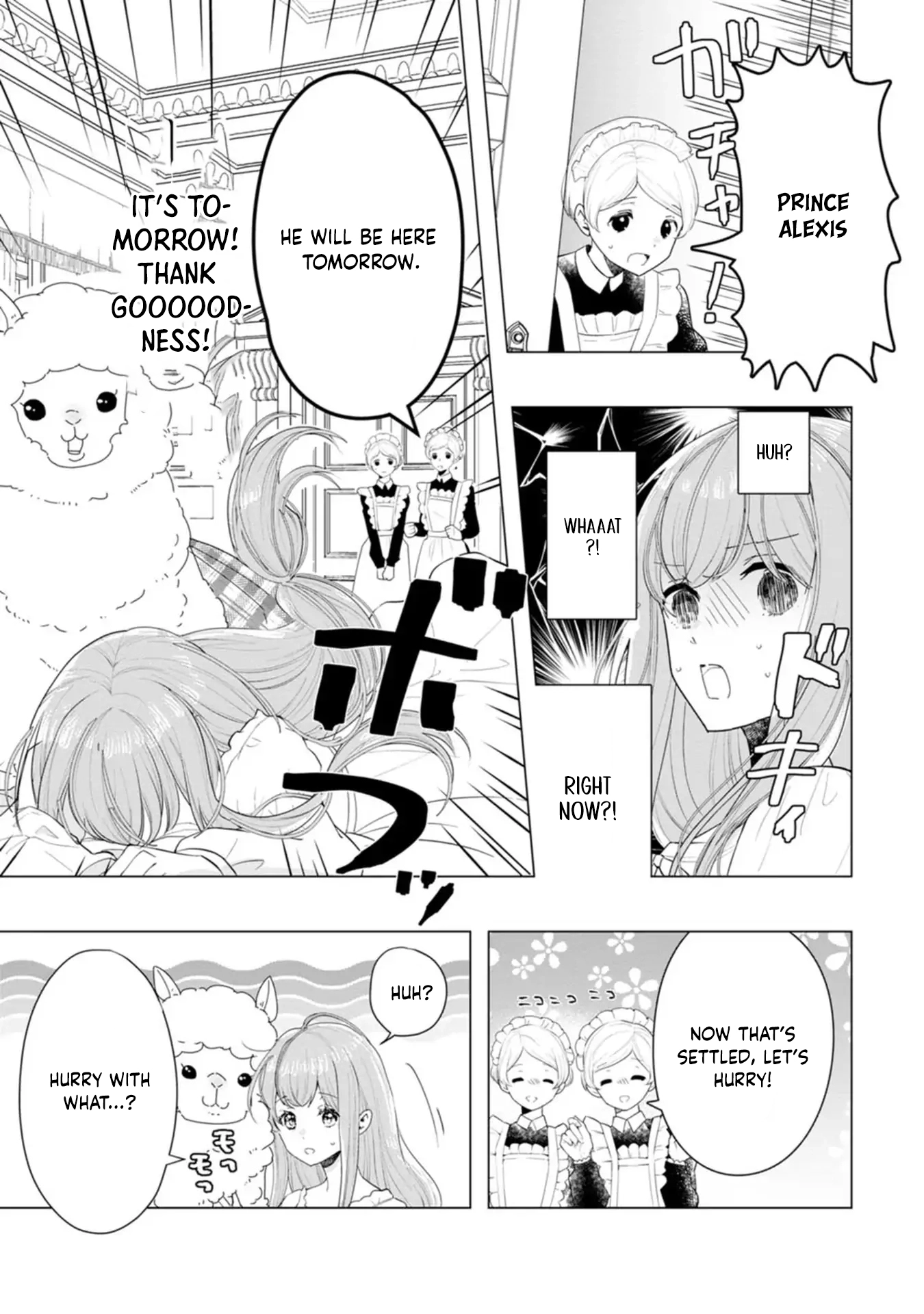 Cinderella’s Sister Became the Prince’s Bride, Living a Slow Life as the Stand-In Princess Chapter 3 Page 13