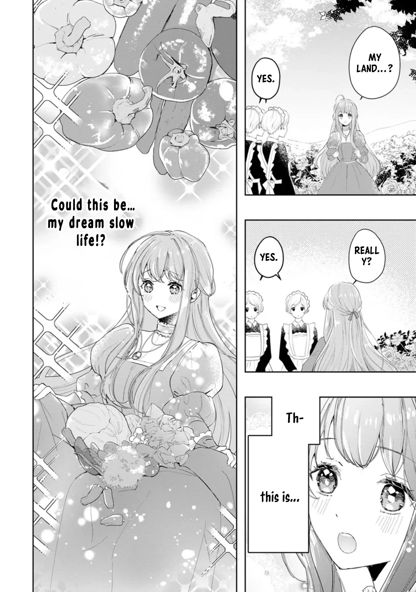 Cinderella’s Sister Became the Prince’s Bride, Living a Slow Life as the Stand-In Princess Chapter 2 Page 6