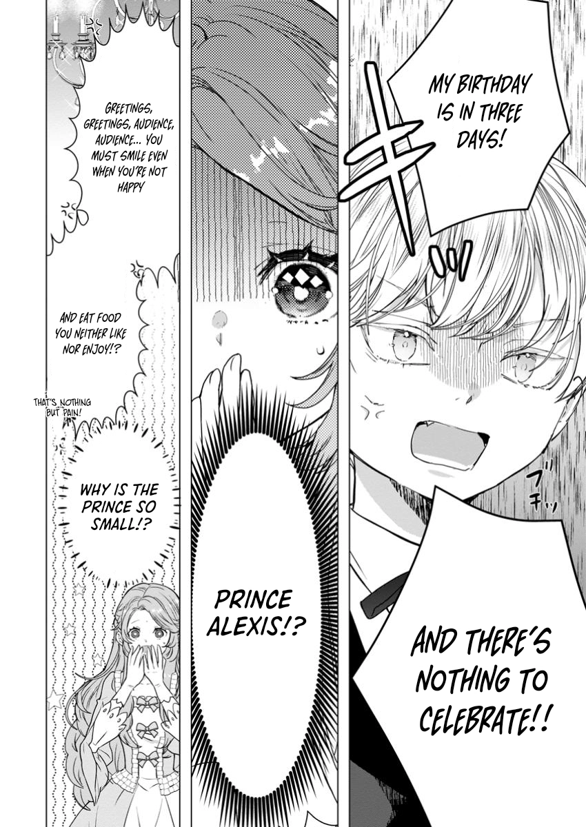 Cinderella’s Sister Became the Prince’s Bride, Living a Slow Life as the Stand-In Princess Chapter 19 Page 6