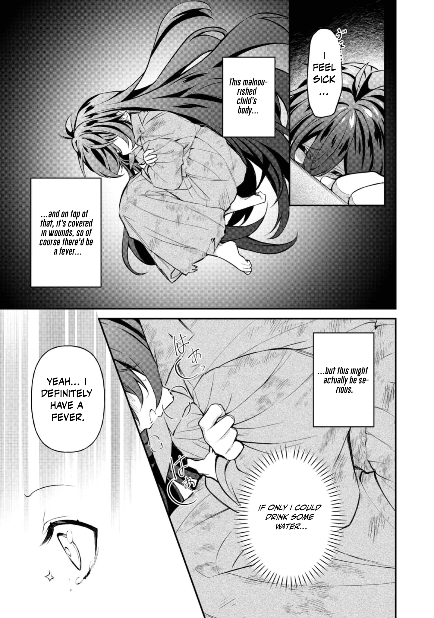 I Reincarnated as the Villainess Princess, but the Hidden Character Isn’t Hidden. In a World Where Light Shines, With You Chapter 2 Page 17