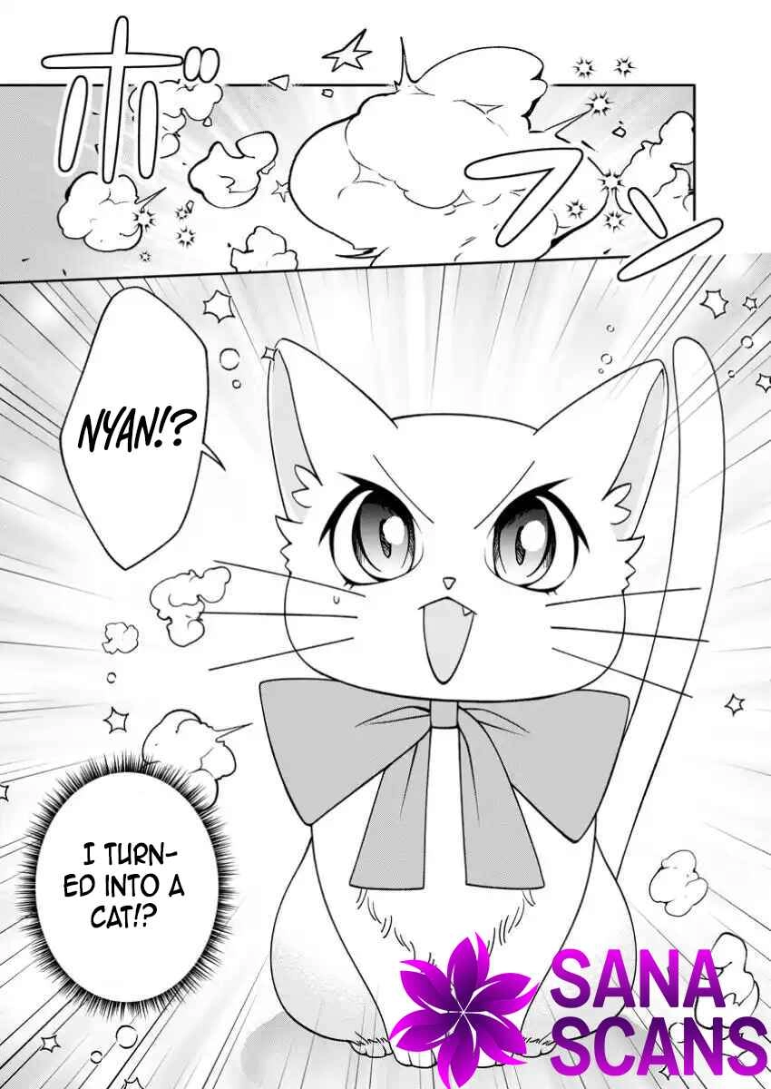 I’m Living Happily, So Please Leave Me Alone! Chapter 2 - cjh2 Page 29