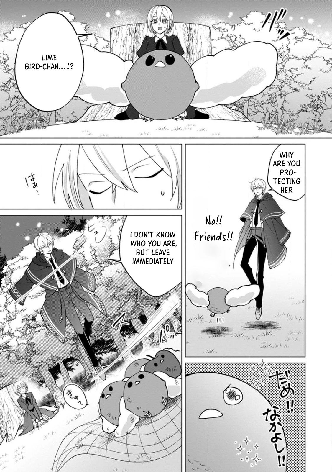The Abandoned Saint’s Fluffy Rescue Activities: Loved by a Genius Mage and Mythical Beasts Chapter 1 Page 29