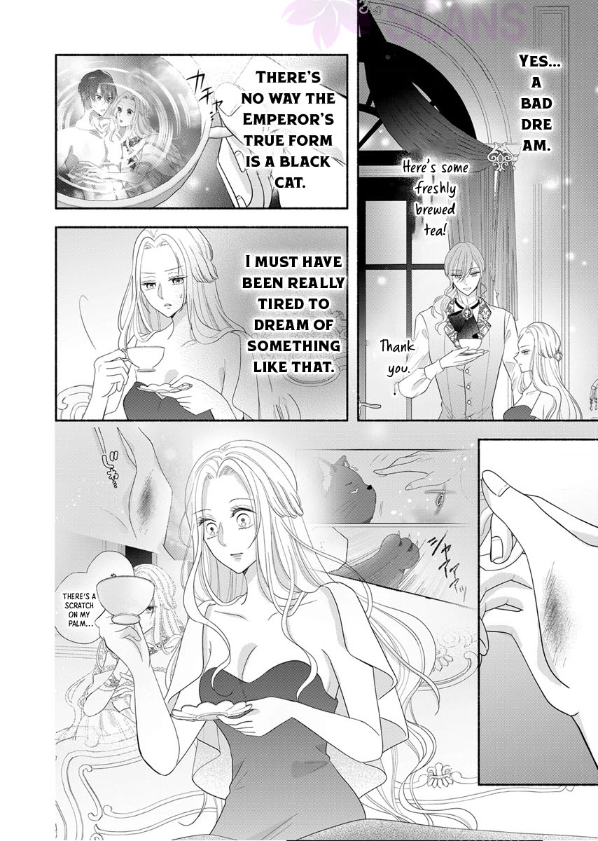 The Coldhearted Emperor and the Small Kingdom's Princess’ White Marriage Chapter 3 Page 12