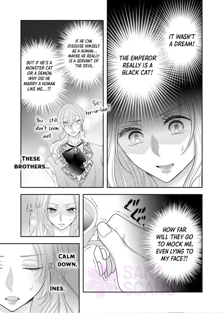 The Coldhearted Emperor and the Small Kingdom's Princess’ White Marriage Chapter 3 Page 13