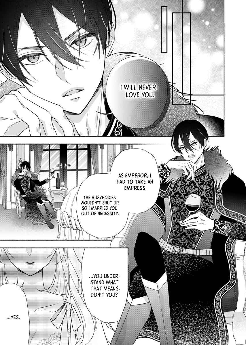 The Coldhearted Emperor and the Small Kingdom's Princess’ White Marriage Chapter 1 Page 3