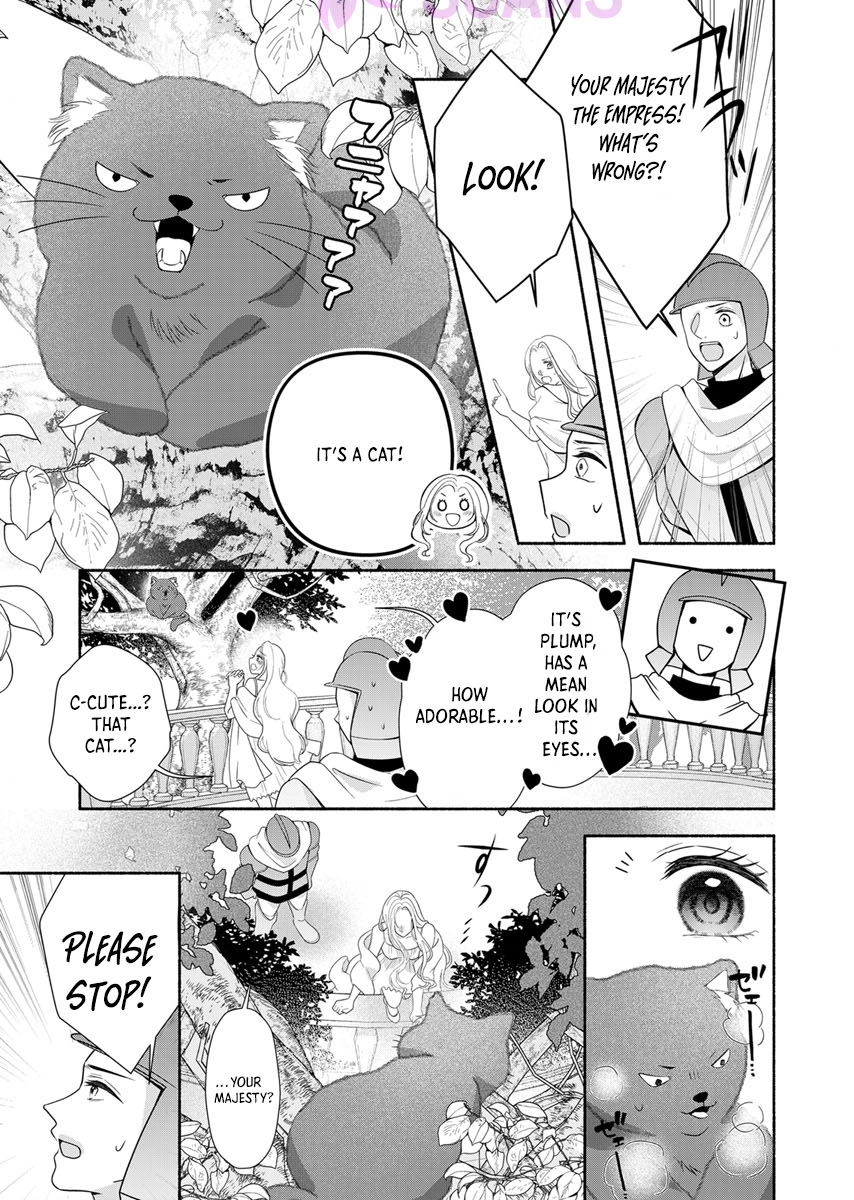 The Coldhearted Emperor and the Small Kingdom's Princess’ White Marriage Chapter 1 Page 27