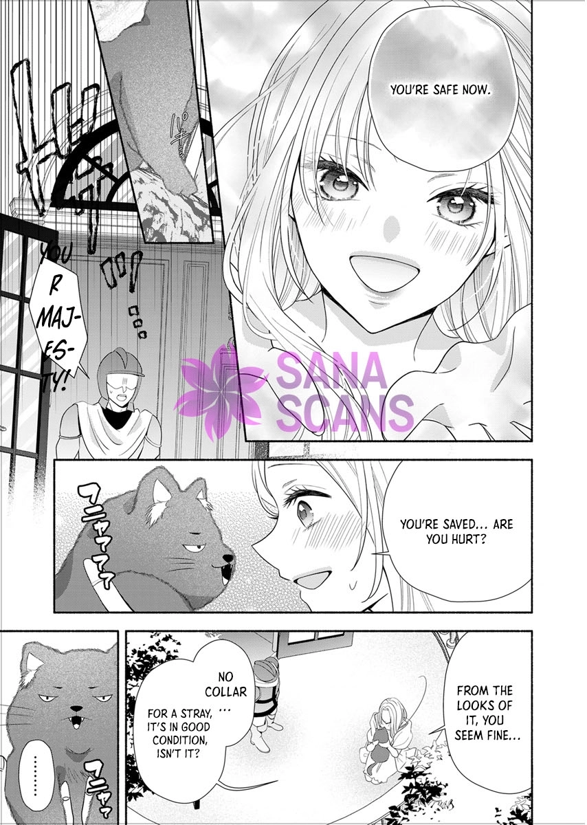 The Coldhearted Emperor and the Small Kingdom's Princess’ White Marriage Chapter 1 Page 29