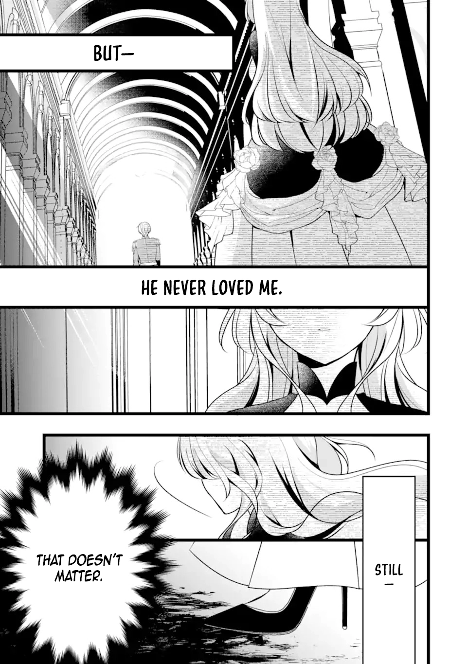 The Evil Princess Will No Longer Kill Anyone Chapter 1 Page 9