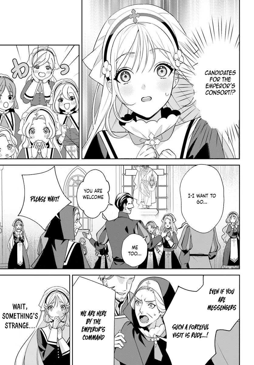 The False Saint Became the Sleepless Pirate’s Body Pillow Chapter 1 Page 23