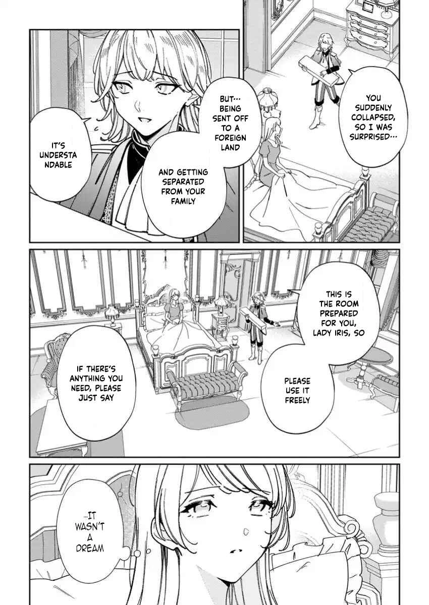 The Lady Betrayed by Her Stepsister Is Loved by a Genius Magician Chapter 29 - 29 Page 12