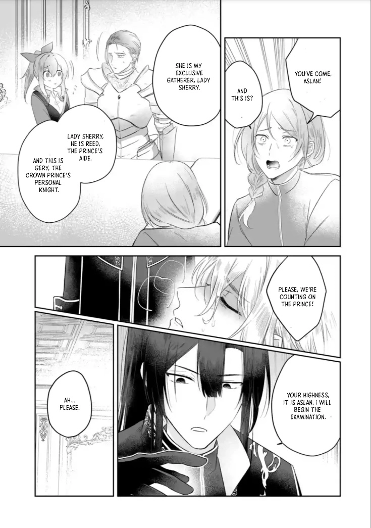 The Saint’s Sister Finds Happiness with a Foreign Mage. Chapter 3 Page 17