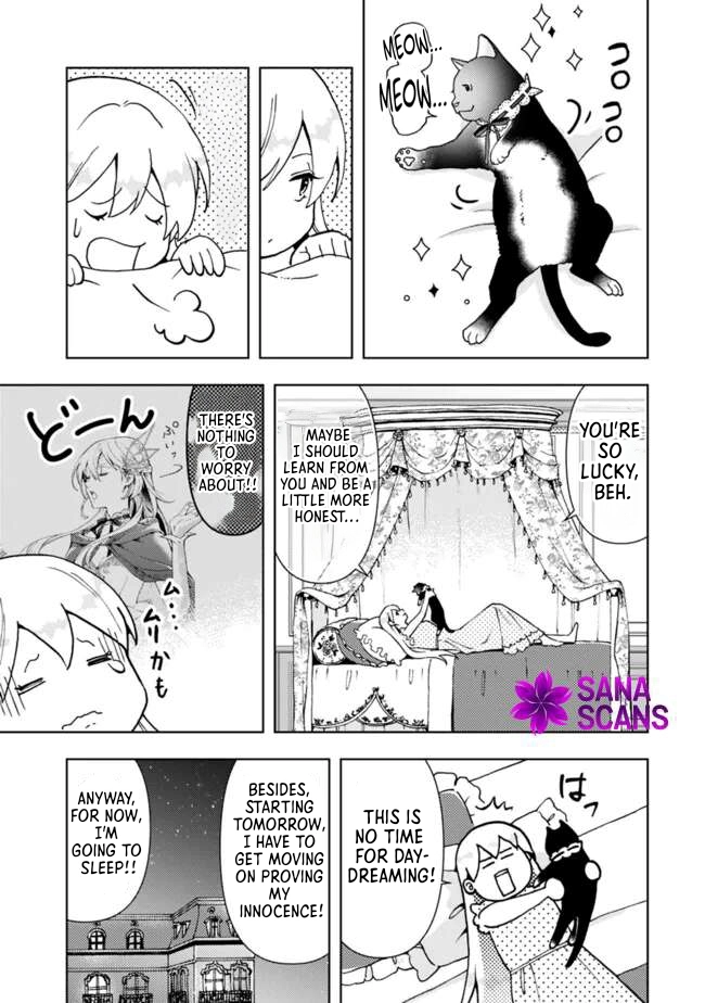 The Shrewd Lady Who’s Overwhelmingly Loved Chapter 2 Page 3