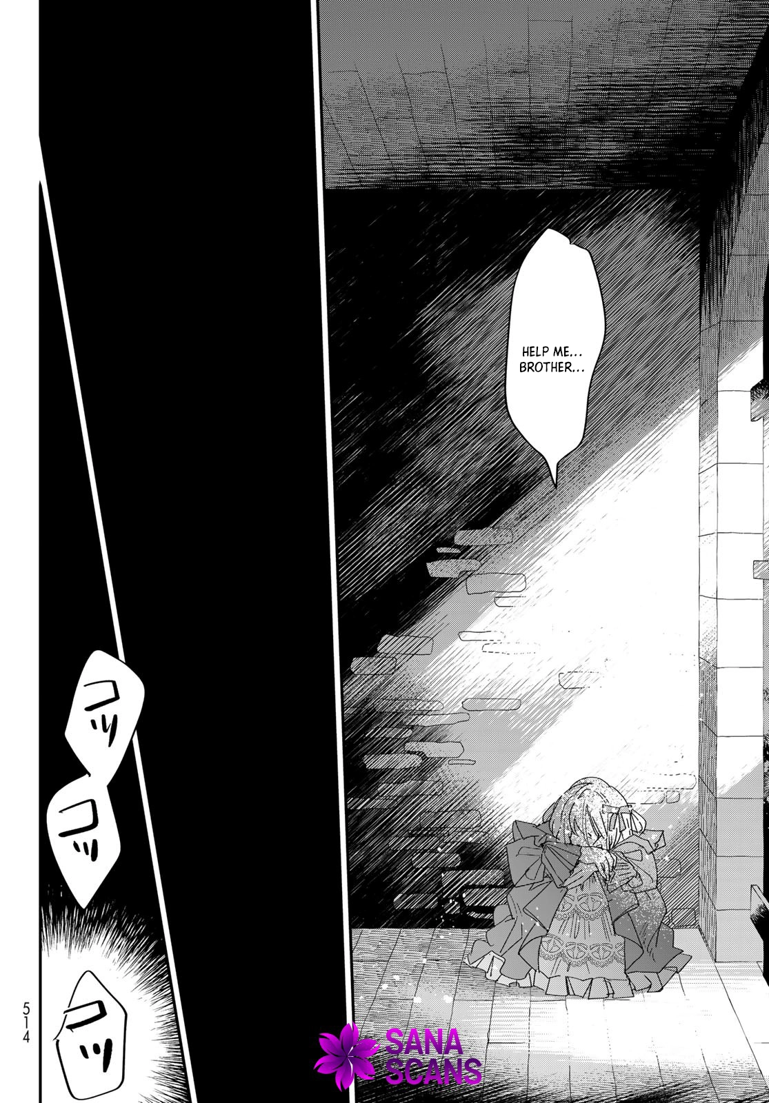 The Unlucky Lady Loved by the Final Boss Brother-in-Law Chapter 4 - . Page 12