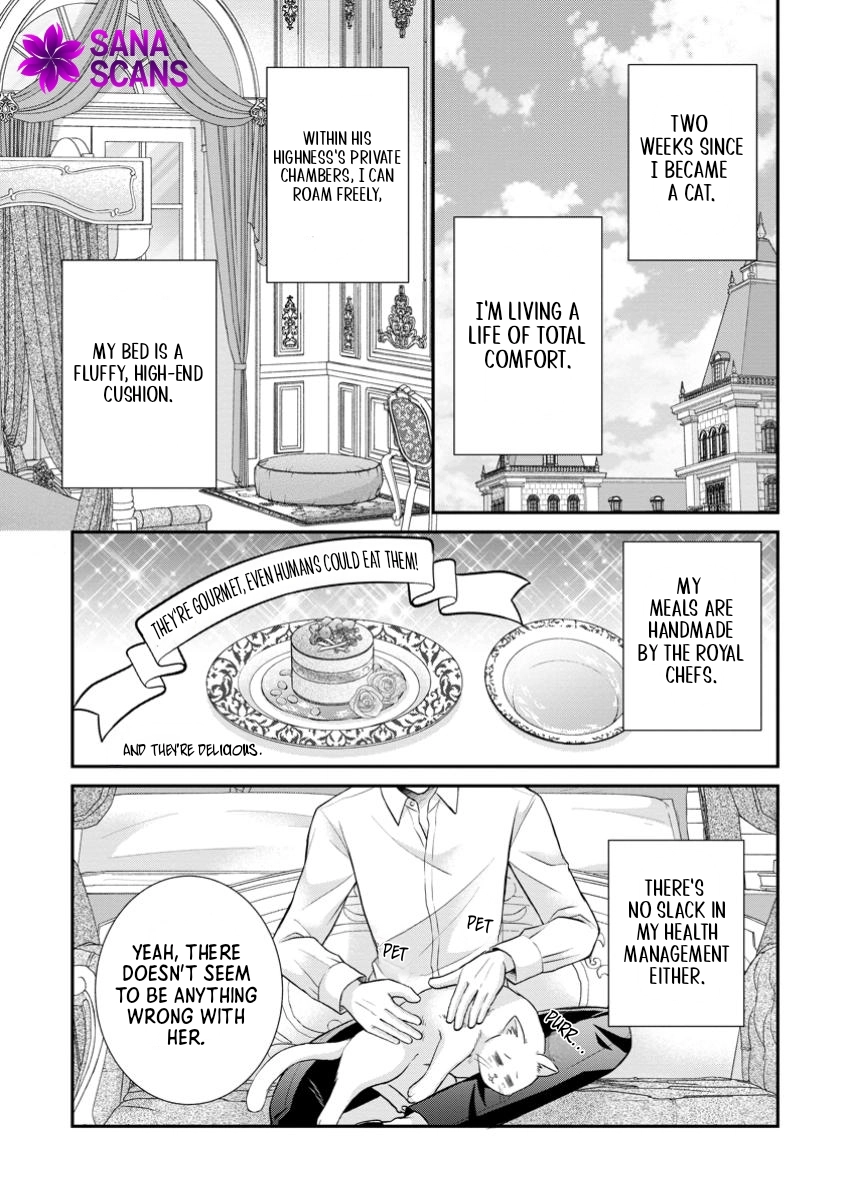 The Villainess Cursed into a Cat Is Taken In by the Crown Prince. Chapter 5 - . Page 3