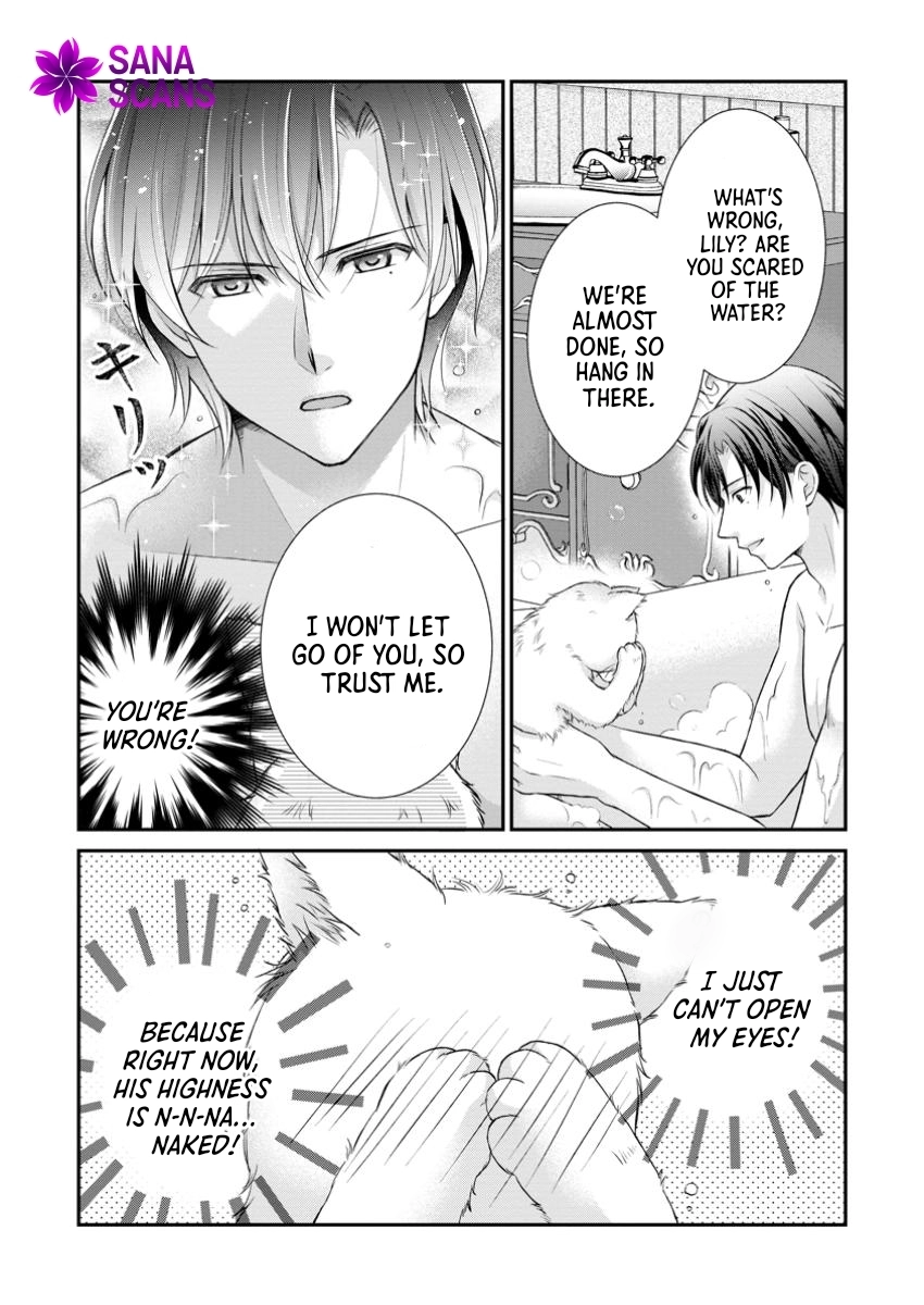 The Villainess Cursed into a Cat Is Taken In by the Crown Prince. Chapter 5 - . Page 17