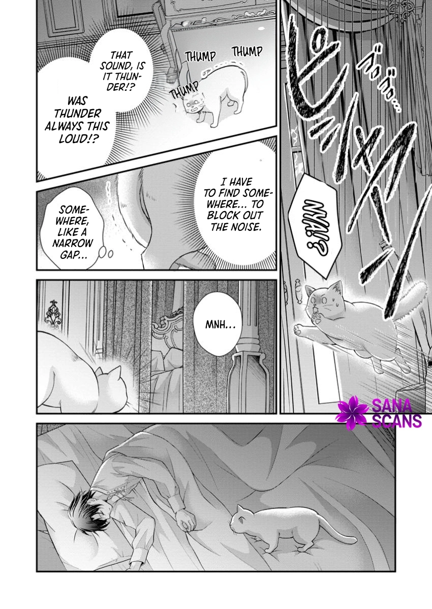 The Villainess Cursed into a Cat Is Taken In by the Crown Prince. Chapter 5 - . Page 20