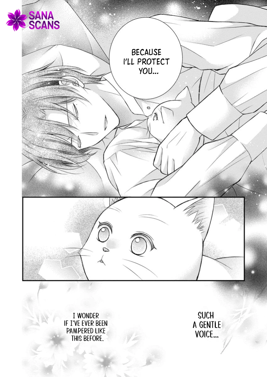 The Villainess Cursed into a Cat Is Taken In by the Crown Prince. Chapter 5 - . Page 22