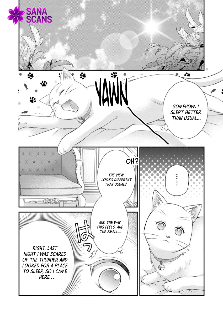 The Villainess Cursed into a Cat Is Taken In by the Crown Prince. Chapter 5 - . Page 24