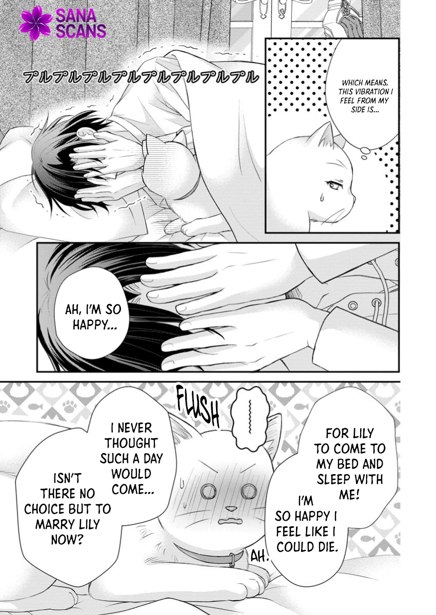 The Villainess Cursed into a Cat Is Taken In by the Crown Prince. Chapter 5 - . Page 25