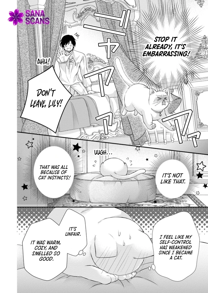 The Villainess Cursed into a Cat Is Taken In by the Crown Prince. Chapter 5 - . Page 26