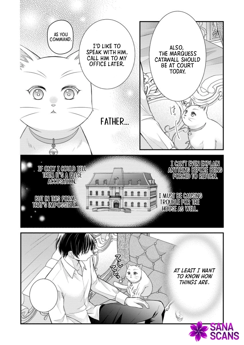 The Villainess Cursed into a Cat Is Taken In by the Crown Prince. Chapter 9 Page 12