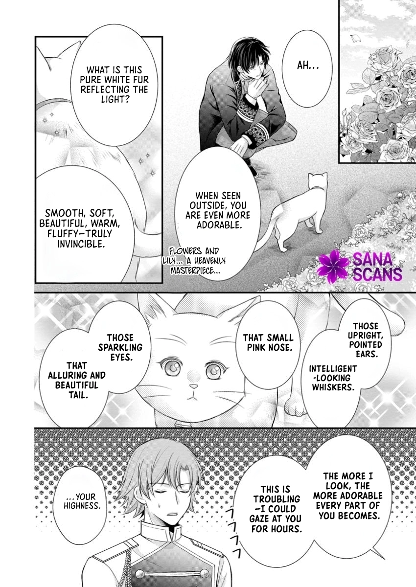 The Villainess Cursed into a Cat Is Taken In by the Crown Prince. Chapter 9 Page 22