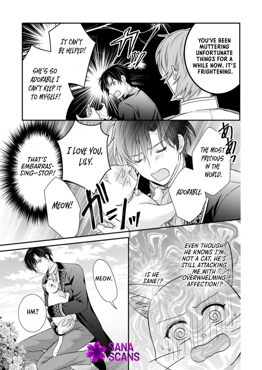 The Villainess Cursed into a Cat Is Taken In by the Crown Prince. Chapter 9 Page 23