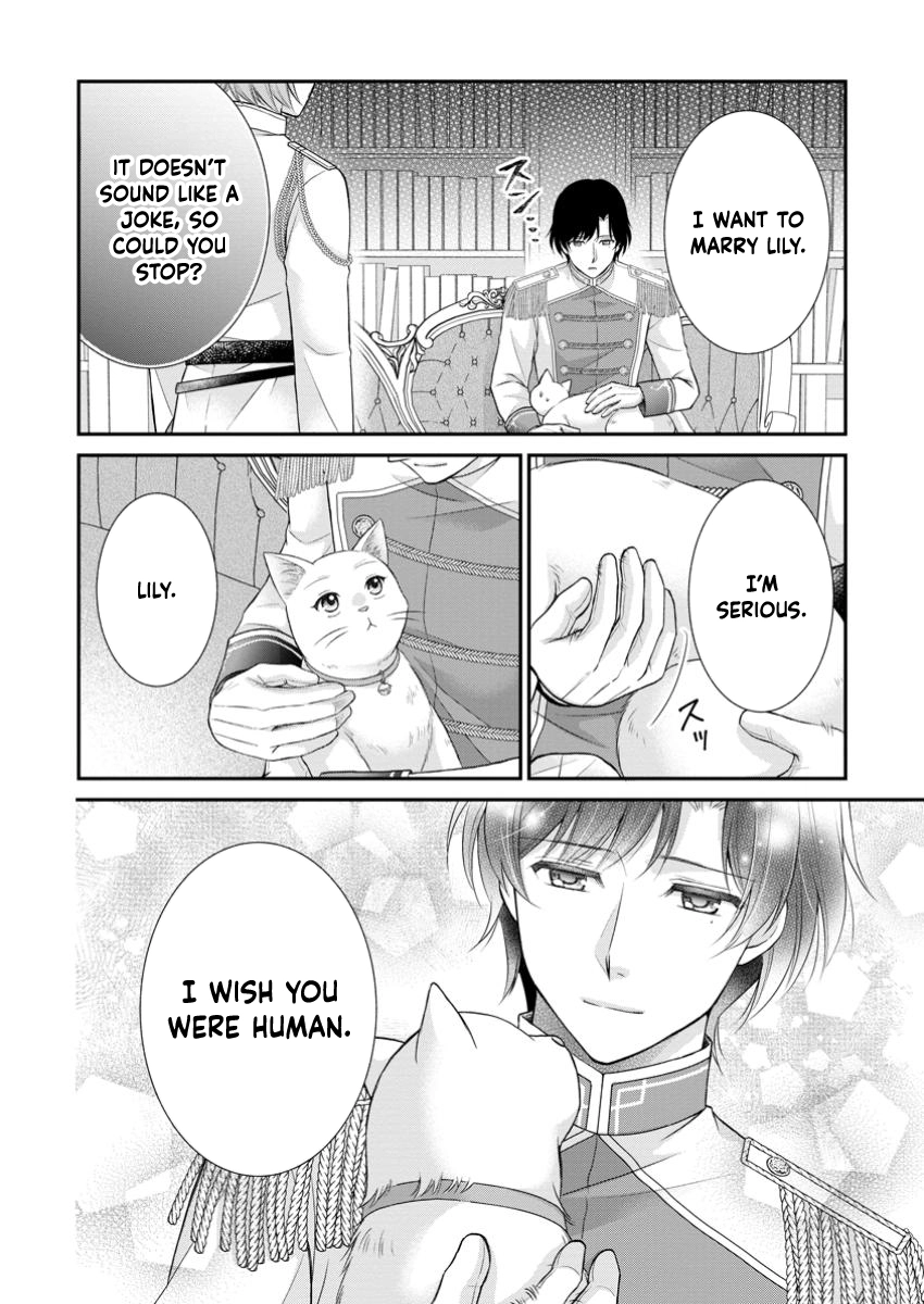 The Villainess Cursed into a Cat Is Taken In by the Crown Prince. Chapter 4 - . Page 26