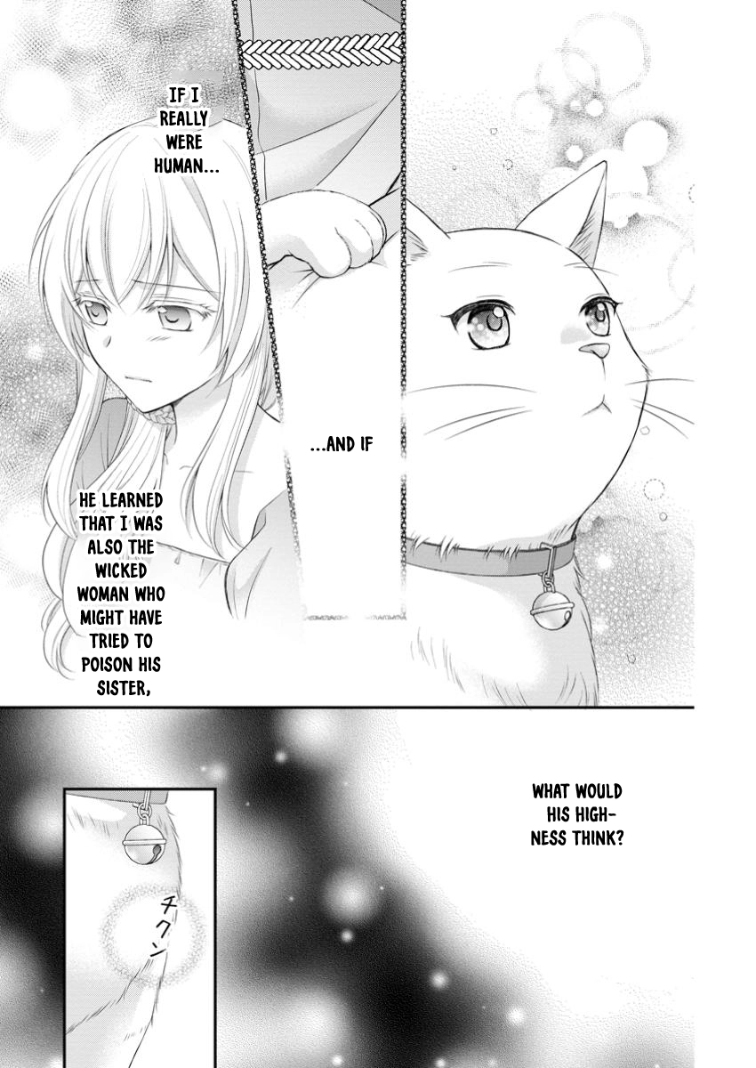 The Villainess Cursed into a Cat Is Taken In by the Crown Prince. Chapter 4 - . Page 27