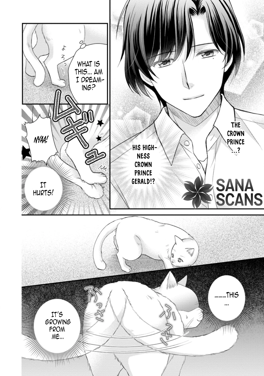 The Villainess Cursed into a Cat Is Taken In by the Crown Prince. Chapter 3 - . Page 10