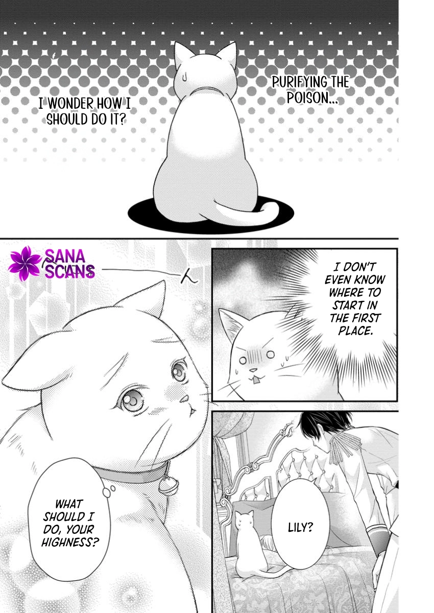 The Villainess Cursed into a Cat Is Taken In by the Crown Prince. Chapter 7 Page 3