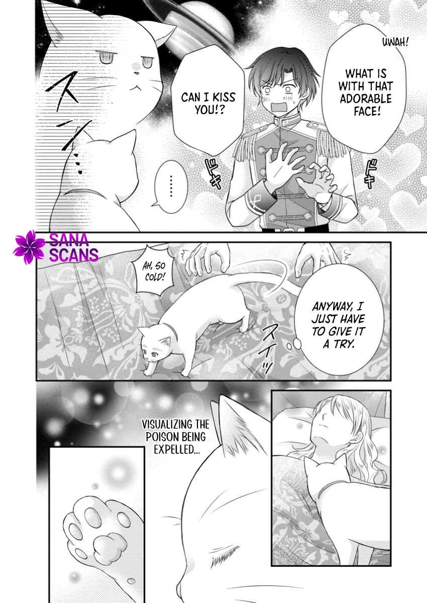The Villainess Cursed into a Cat Is Taken In by the Crown Prince. Chapter 7 Page 4