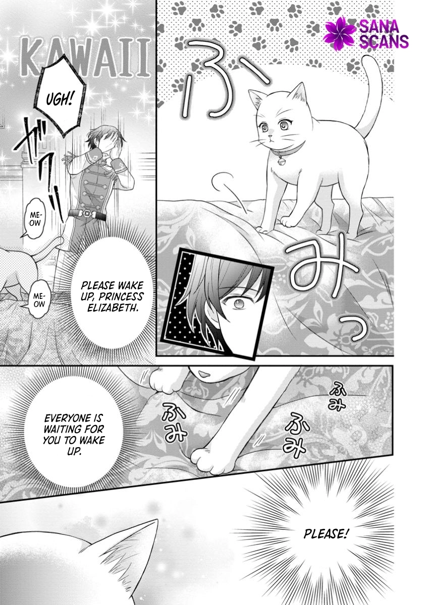 The Villainess Cursed into a Cat Is Taken In by the Crown Prince. Chapter 7 Page 5