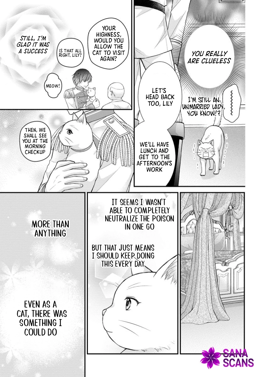 The Villainess Cursed into a Cat Is Taken In by the Crown Prince. Chapter 7 Page 9