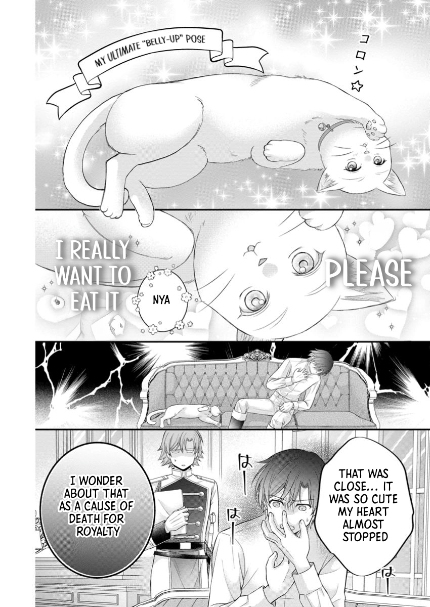 The Villainess Cursed into a Cat Is Taken In by the Crown Prince. Chapter 7 Page 14