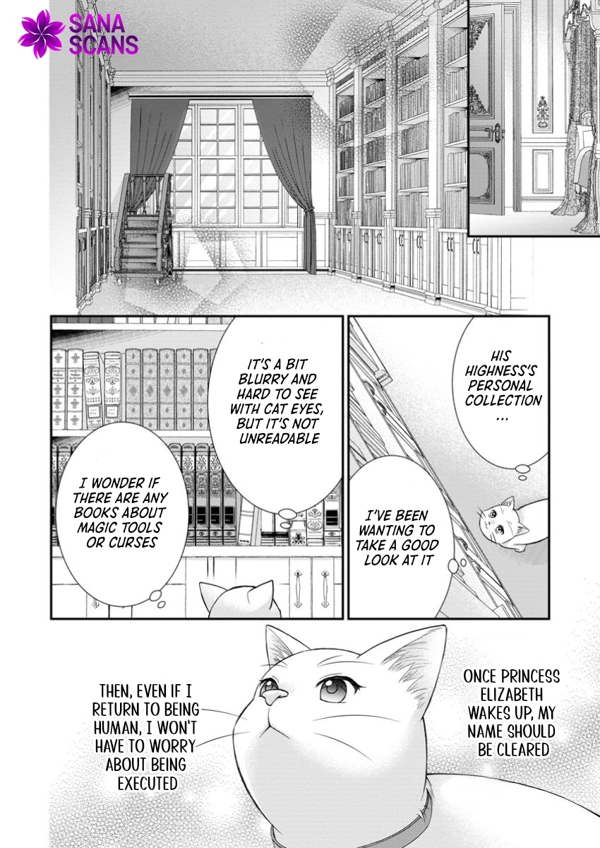 The Villainess Cursed into a Cat Is Taken In by the Crown Prince. Chapter 7 Page 16
