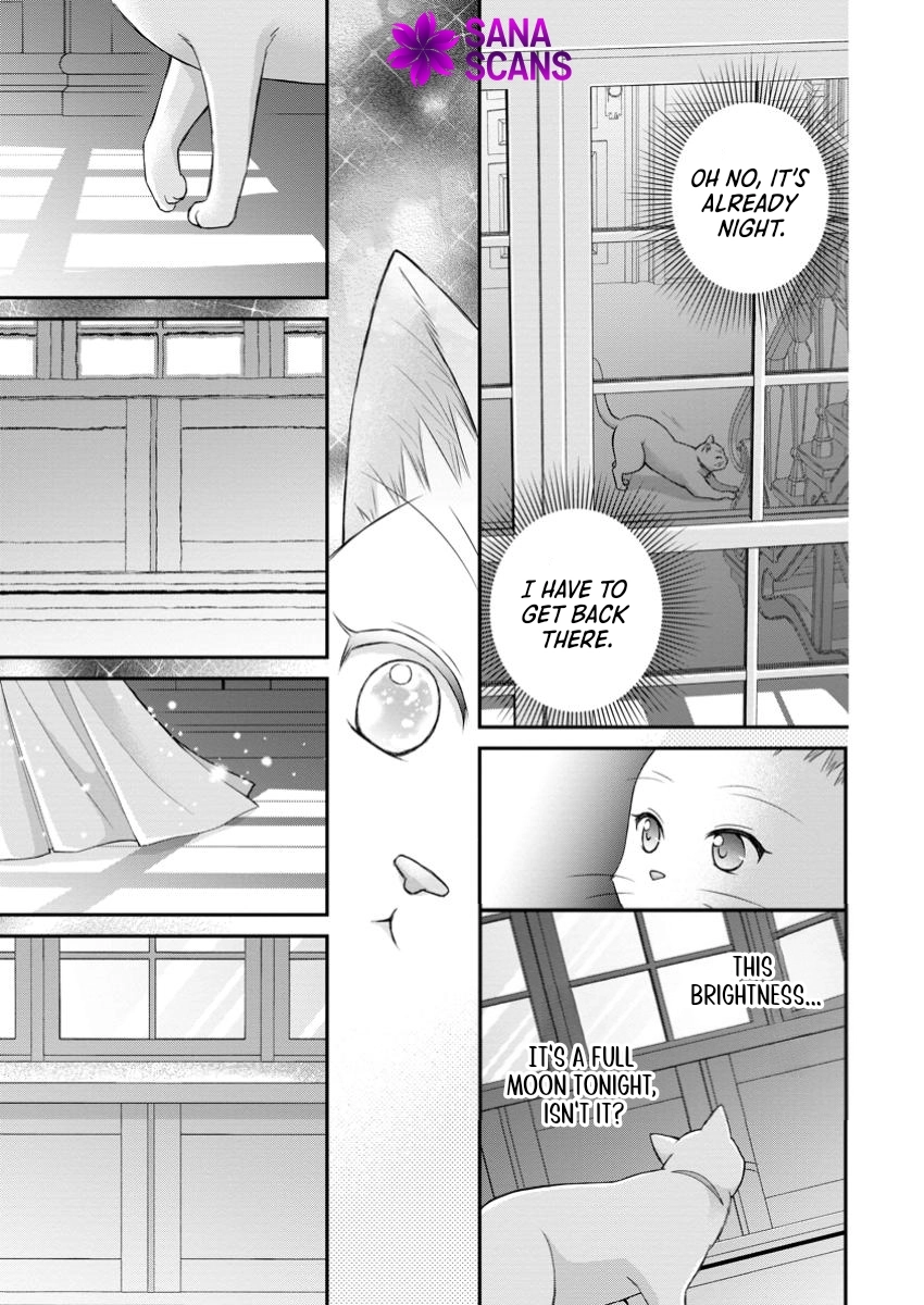 The Villainess Cursed into a Cat Is Taken In by the Crown Prince. Chapter 7 Page 19