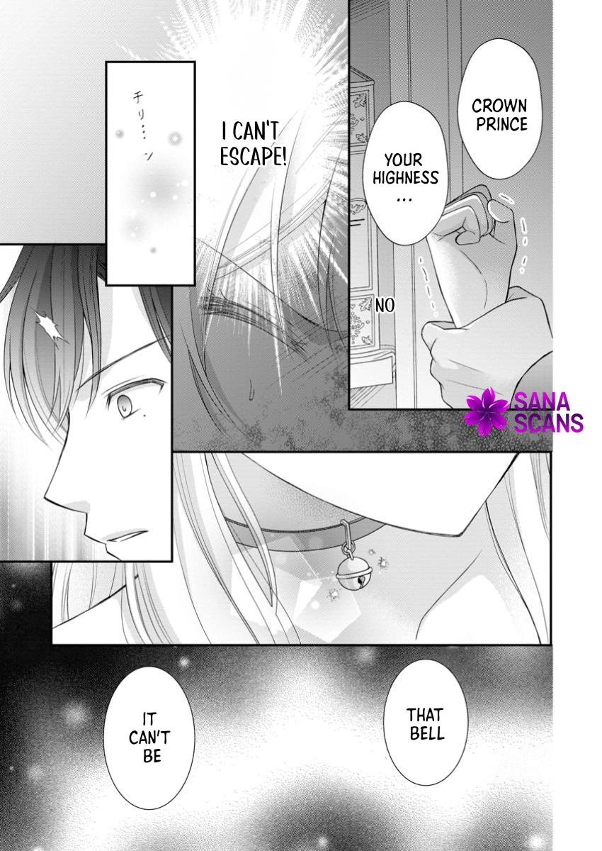 The Villainess Cursed into a Cat Is Taken In by the Crown Prince. Chapter 7 Page 27