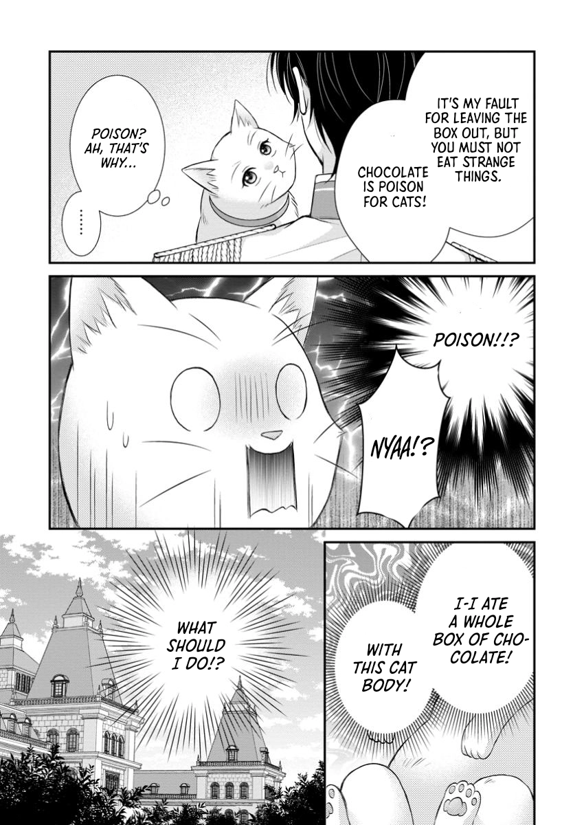 The Villainess Cursed into a Cat Is Taken In by the Crown Prince. Chapter 6 Page 23
