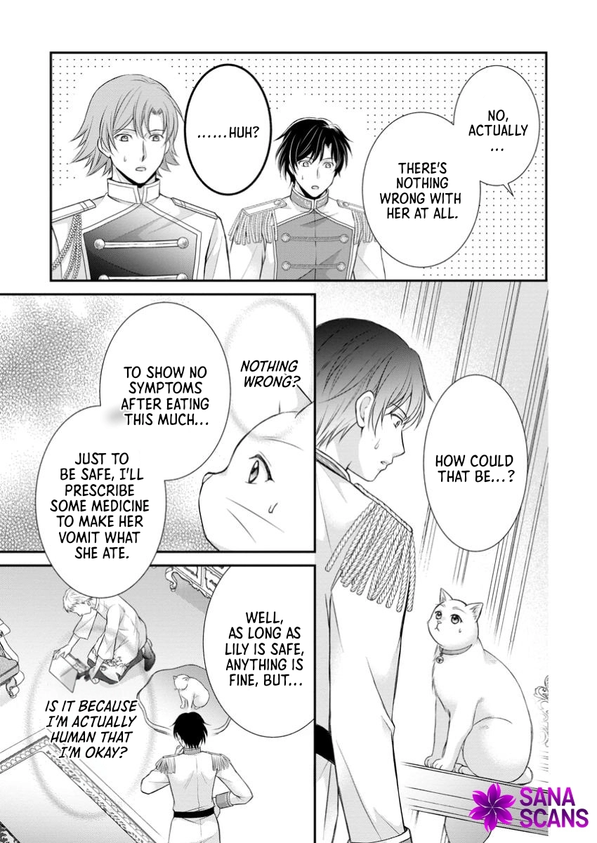 The Villainess Cursed into a Cat Is Taken In by the Crown Prince. Chapter 6 Page 25