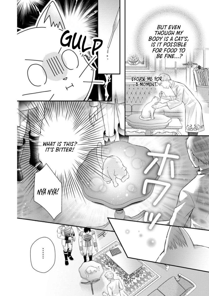The Villainess Cursed into a Cat Is Taken In by the Crown Prince. Chapter 6 Page 26