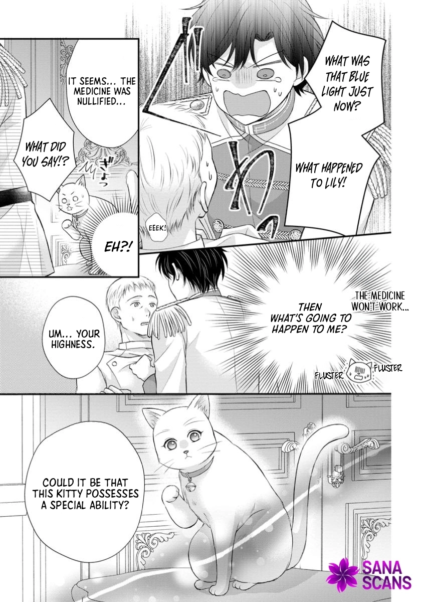 The Villainess Cursed into a Cat Is Taken In by the Crown Prince. Chapter 6 Page 27