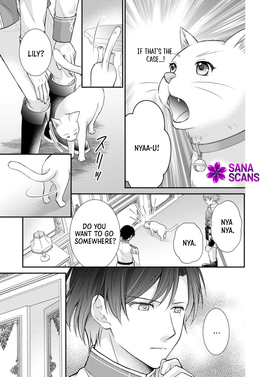 The Villainess Cursed into a Cat Is Taken In by the Crown Prince. Chapter 6 Page 31