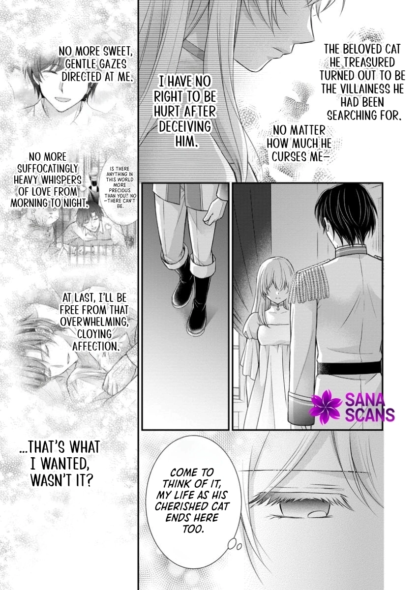 The Villainess Cursed into a Cat Is Taken In by the Crown Prince. Chapter 8 Page 5