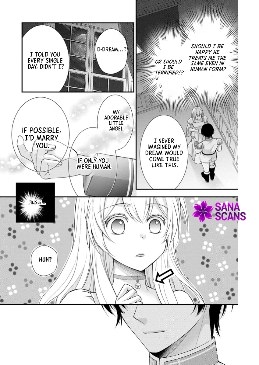 The Villainess Cursed into a Cat Is Taken In by the Crown Prince. Chapter 8 Page 11