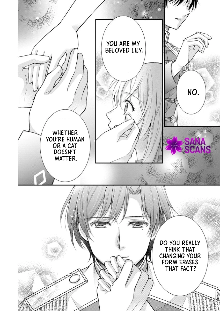 The Villainess Cursed into a Cat Is Taken In by the Crown Prince. Chapter 8 Page 14