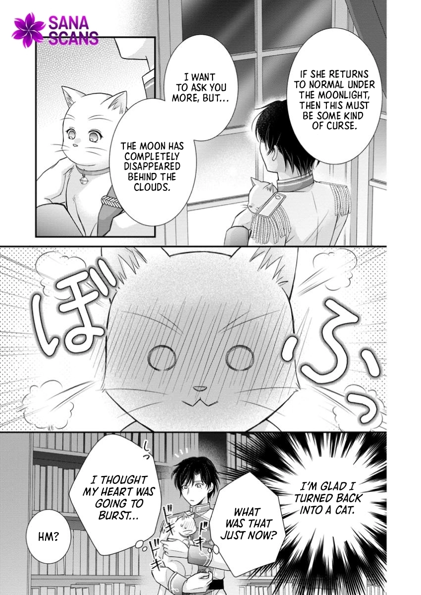 The Villainess Cursed into a Cat Is Taken In by the Crown Prince. Chapter 8 Page 17